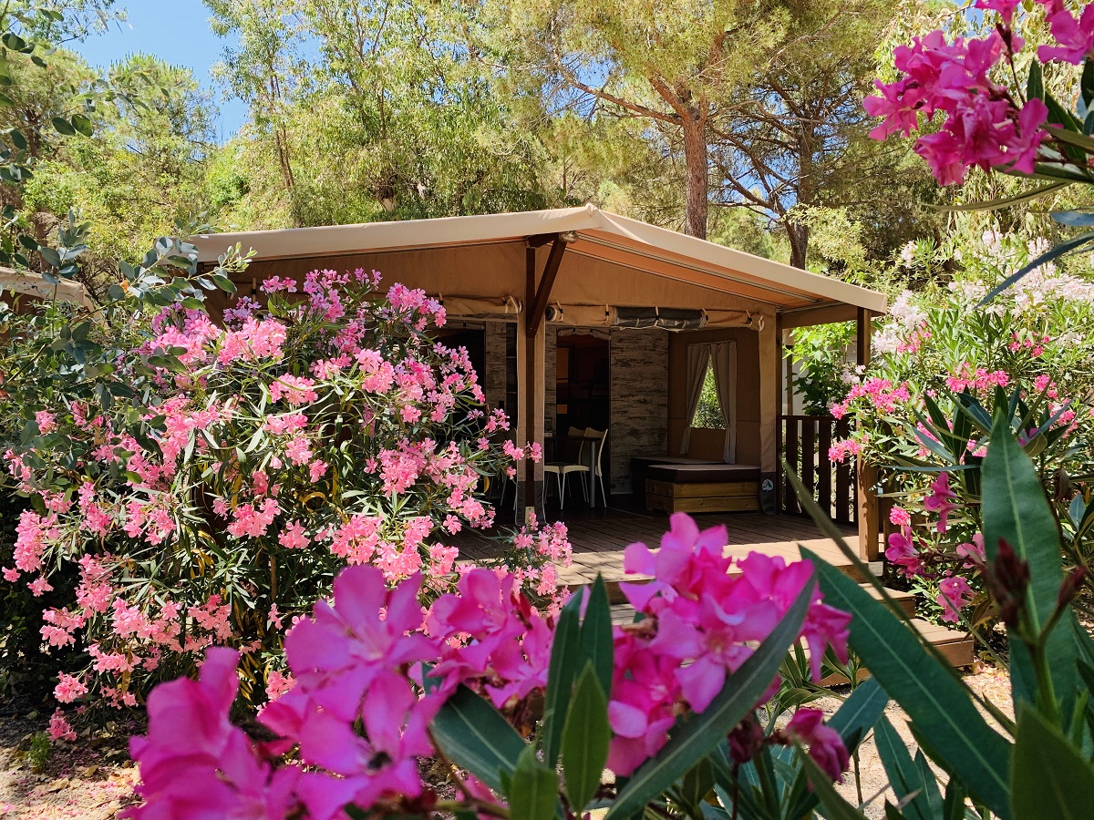 Lodge Tent - Camping Village le Rocchette