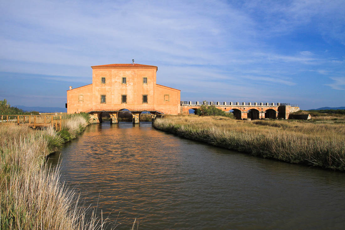 La Riserva Naturale Diaccia Botrona