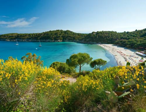 Isola d’Elba