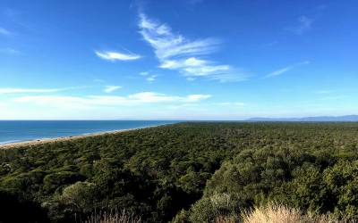 Uccellina natural park