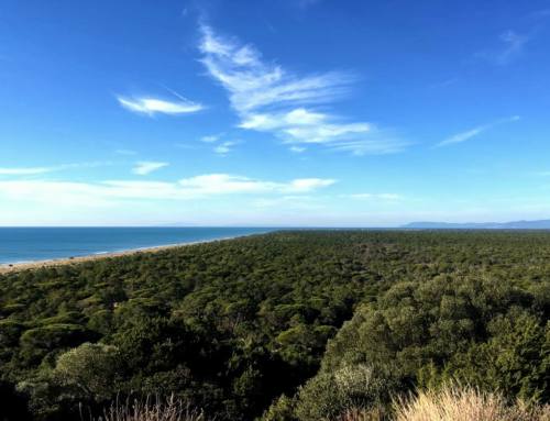 Uccellina natural park