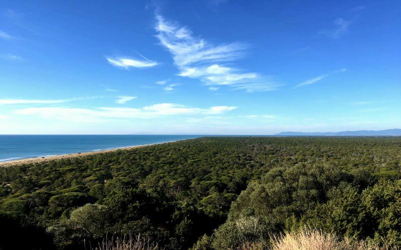 Uccellina natural park