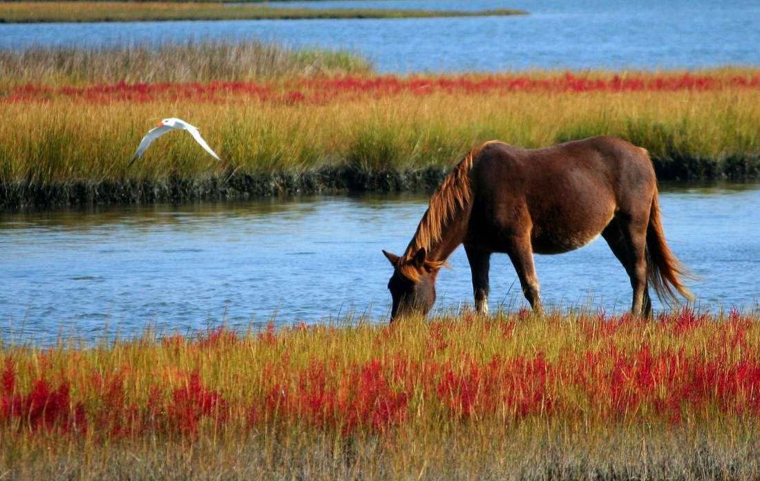 Attraction naturelles de la Maremme