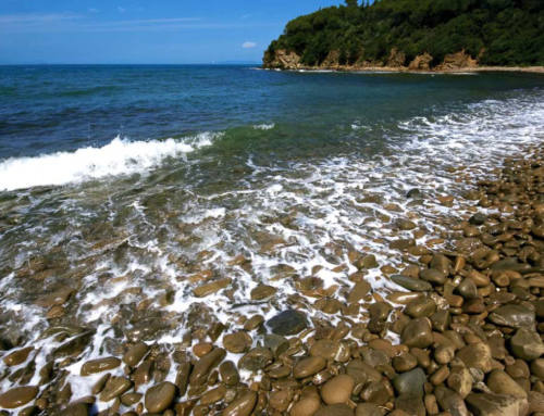 Plage de Cala Martina