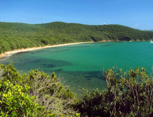 Plage de Cala Violina