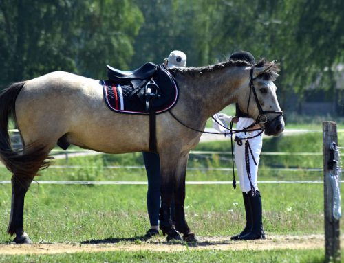 Sport in Maremma