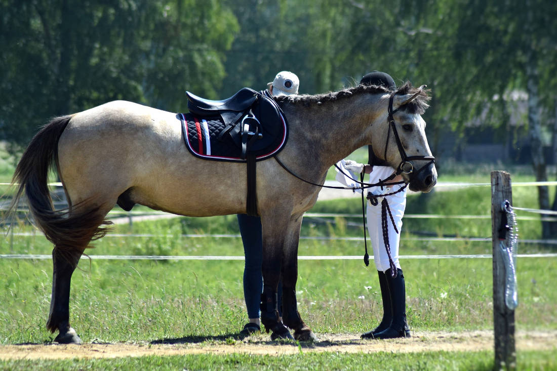 Sport in Maremma