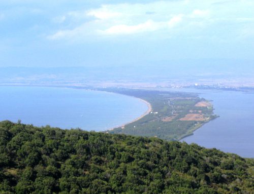 In vacanza con tutta la famiglia