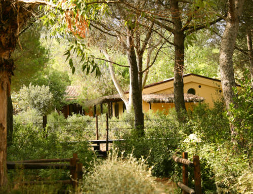 Bungalow au bord de la mer en Toscane