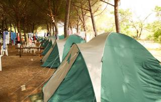 Camping Pitches