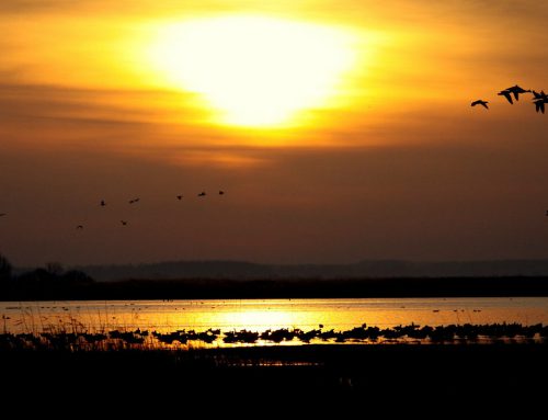 Sommer in der Maremma und Unterhaltung an der toskanischen Küste