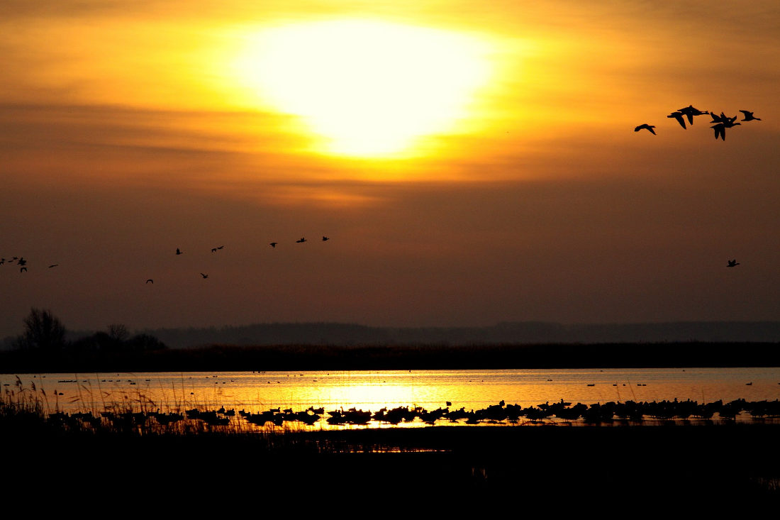 L'été Maremma et le plaisir sur la côte